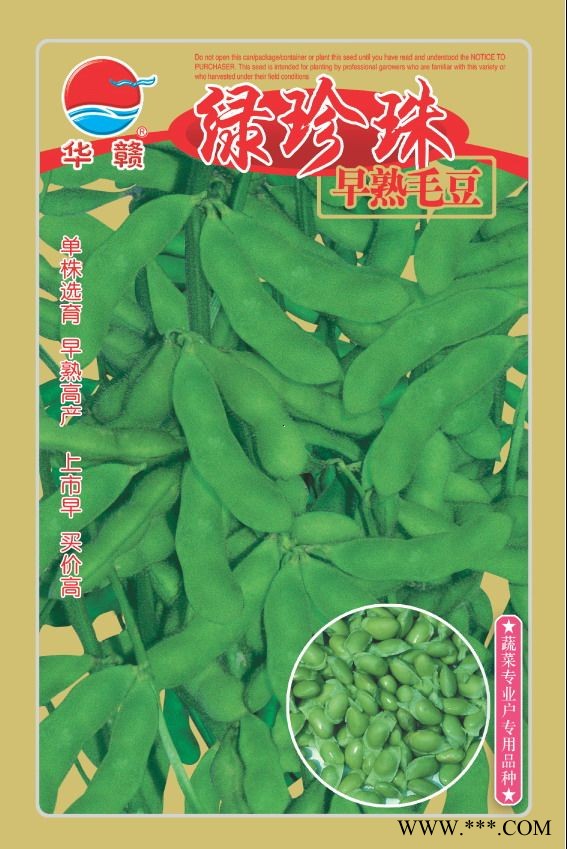 供应绿珍珠毛豆—毛豆种子