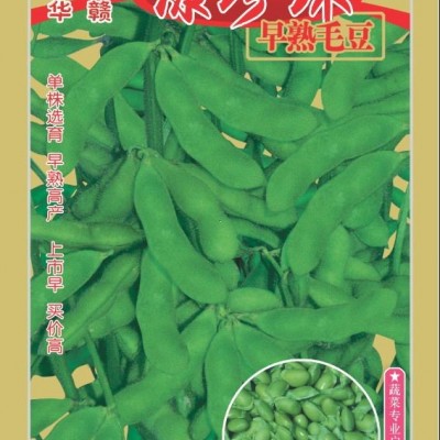 供应绿珍珠毛豆—毛豆种子