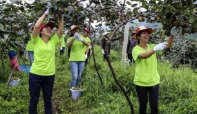 立足山区环境资源优势 推动山区特色农业现代化