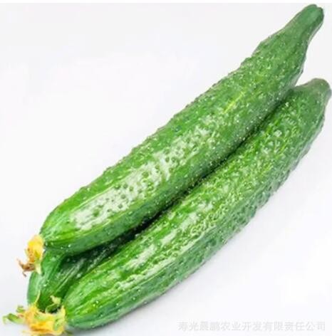 农家供应山东寿光黄瓜瓜果类带刺鲜花黄瓜清脆鲜嫩汁多新鲜黄瓜图3