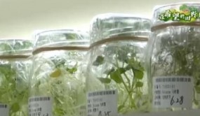 农业农村部公告首批农作物、农业微生物种质资源库